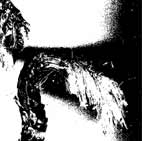 ange
